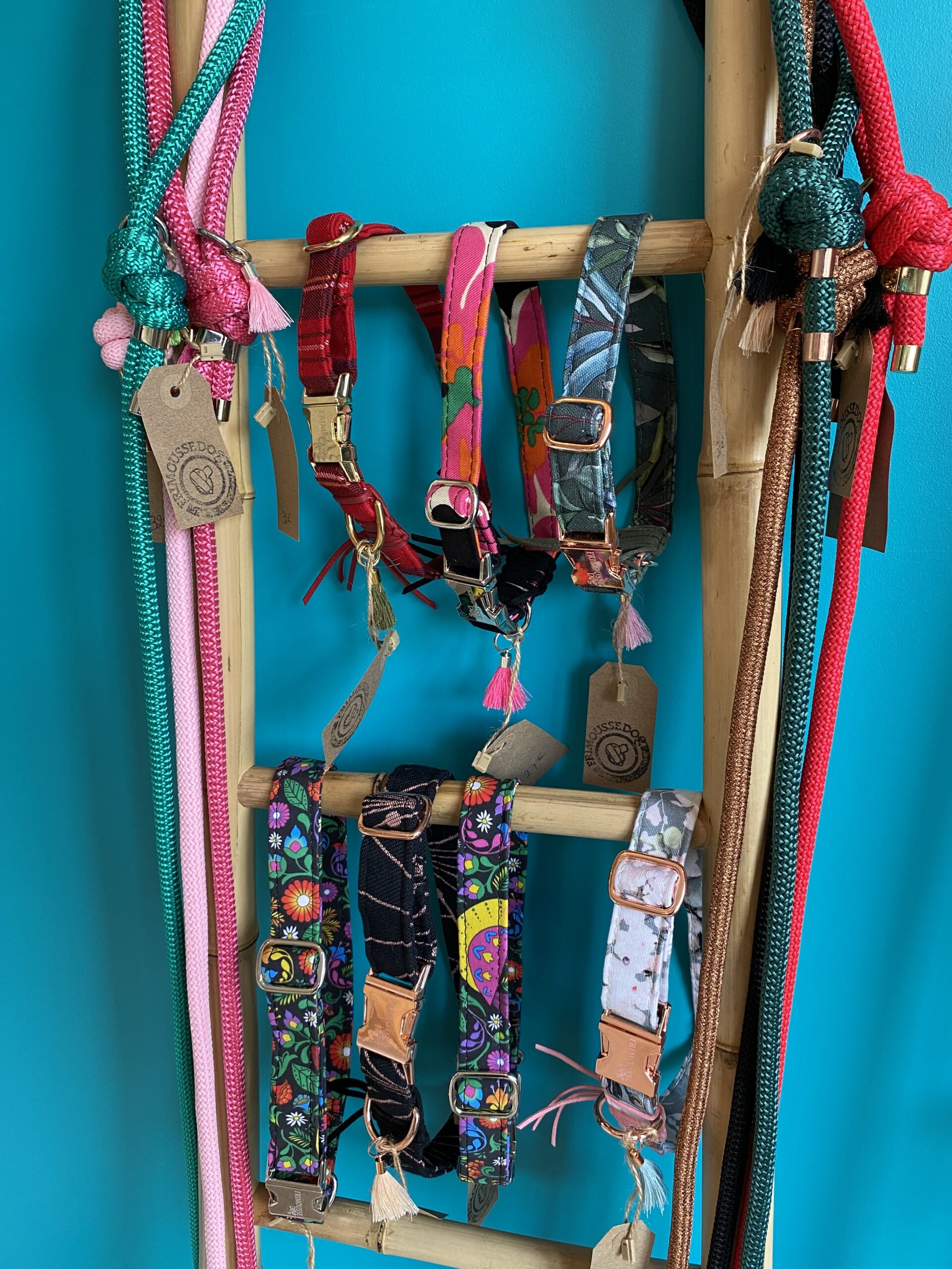 Ensembles colliers et laisses Frimousse Dog, élégance canine, artisanat français.