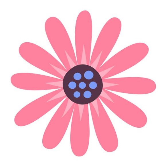 fleur pour le printemps, rose avec le centre marron et bleu